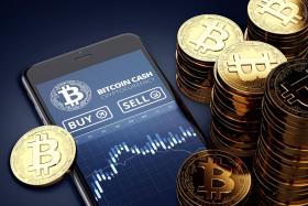 Read more about the article Reasons Why The Price Of Bitcoin Is Not Still Skyrocketing