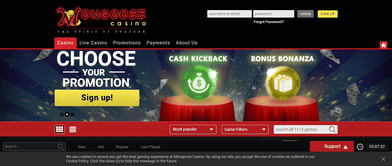 You are currently viewing Mongoose Casino Promos, Reviews & Ratings